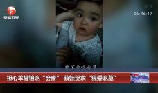 爱草视频,探索绿色生活，共享自然之美